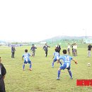 부여군종합운동장 잔디구장 이미지