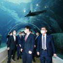 초양마루 이미지