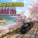 압록유원지 철교 밑(가든산장) | 곡성 섬진강 기차마을 벚꽃, 2026 증기기관차 예약과 레트로 여행