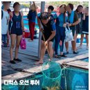 오션투어 - 서구 문예로 73 | 오션투어