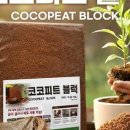 테라피트 이미지