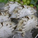 몽당1 이미지