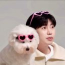 아들 생일축하해 이미지