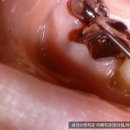 감동치과의원 이미지