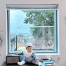 파넬테라스한달살기애월독채팬션 | 내돈내산 7개월 아기랑 제주도 한달살기 숙소 <애월안> 장단점 솔직후기