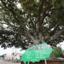 후니미니 이미지