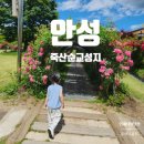 안성 죽산 순교성지 장미 명소, 아이와 가볼 만한 곳 추억하기