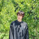 니엘
