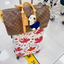 오창동물약국 | 청주공항 주차장 주차요금 버스노선 편의시설 청주 - 제주 국내선 이용후기