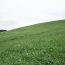 정주영농장 이미지