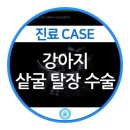 서울동물의료센터 이미지