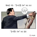 오늘의 시사만평(11월 15일, 16일) 이미지