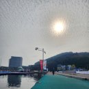 통영등대낚시공원 | 통영 러닝코스 추천(통영마리나리조트-등대낚시공원)