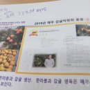 김길용농장 네이버블로그