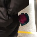 밥스테이 | 부천 석왕사 템플스테이 후기_당일 체험형