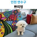 쁘띠멍 | 인천 강아지 미용 고민 끝! 쁘띠멍 방문 후기