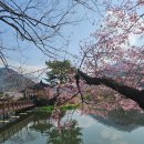 연지못 창원일보
