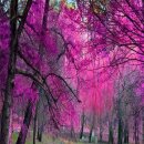 재미있는 일본어 회화 중급 이미지