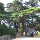 대자연횟집 이미지