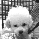 가비가배 이미지