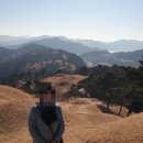 대가야 | 【경남 걷기】 유네스코 세계유산 고령 지산동 대가야 고분군 걷기 후기