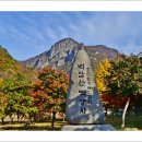 백양사 이미지