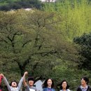 한겨레신문(주)