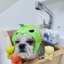 아름스파 이미지