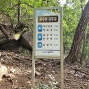 2022년8월14일 (일요일) 내연산(삼지봉(100대명산).711m) (향로봉.930m)12폭포, 산행안내(산행 취소 합니다) 이미지