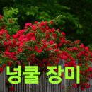 김영래농장 이미지