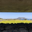 유민미술관 이미지