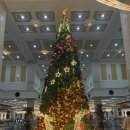 이동-1 | [베트남 나트랑 리조트]빈펄 리조트 2-1 — 예약, 이동방법, 조식 후기