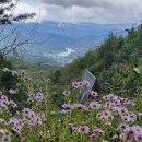 거창산림레포츠파크 이미지