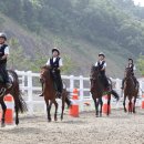 함안 승마장 이미지