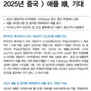 자화전자 : 2025년 중국 ＞ 애플 順, 기대 이미지