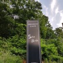노래에 빠지다 Daum카페