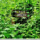 검봉산칡국수 네이버블로그