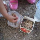 은하칼비테 어린이집 이미지