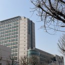 와이키키 트레이닝클럽 이미지