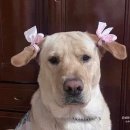 우리들세상 이미지