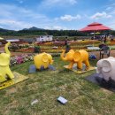 부흥마을 이미지