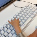 (신중년) - CF 모델로 살아보기 | 수원 타임빌라스 키덕투어 팝업스토어｜직접 눌러본 키보드 200종 체험 후기