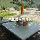 운문물소리 | 대구 근교 가볼만한곳 [운문 물소리 펜션] 청도 운문사 계곡 평상 대여 후기