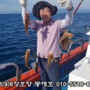 G5154 네이버블로그