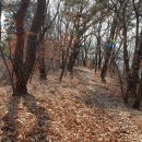 원주굽이길 원5코스 간현봉길 이미지