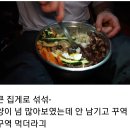 어느 캐나다 남성이 캠핑가서 비빔밥 해먹긔 🍳🍲 이미지