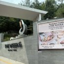 더한옥호텔앤리조트 | 인천 영종도 호텔 더위크앤 리조트 내돈내산 방문후기