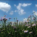 산상목장 이미지