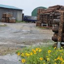 선산대로-24 이미지