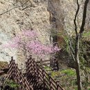 호남창의동맹단 의병 이미지